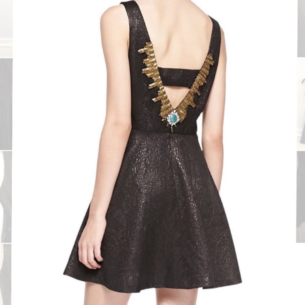 Twelfth Street by Cynthia Vincent Mini Dress